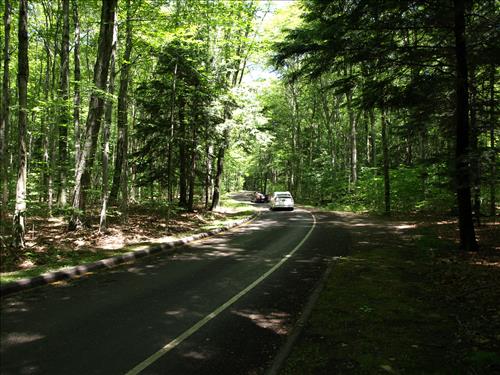 SLBE Pierce Stocking Scenic Drive Cars