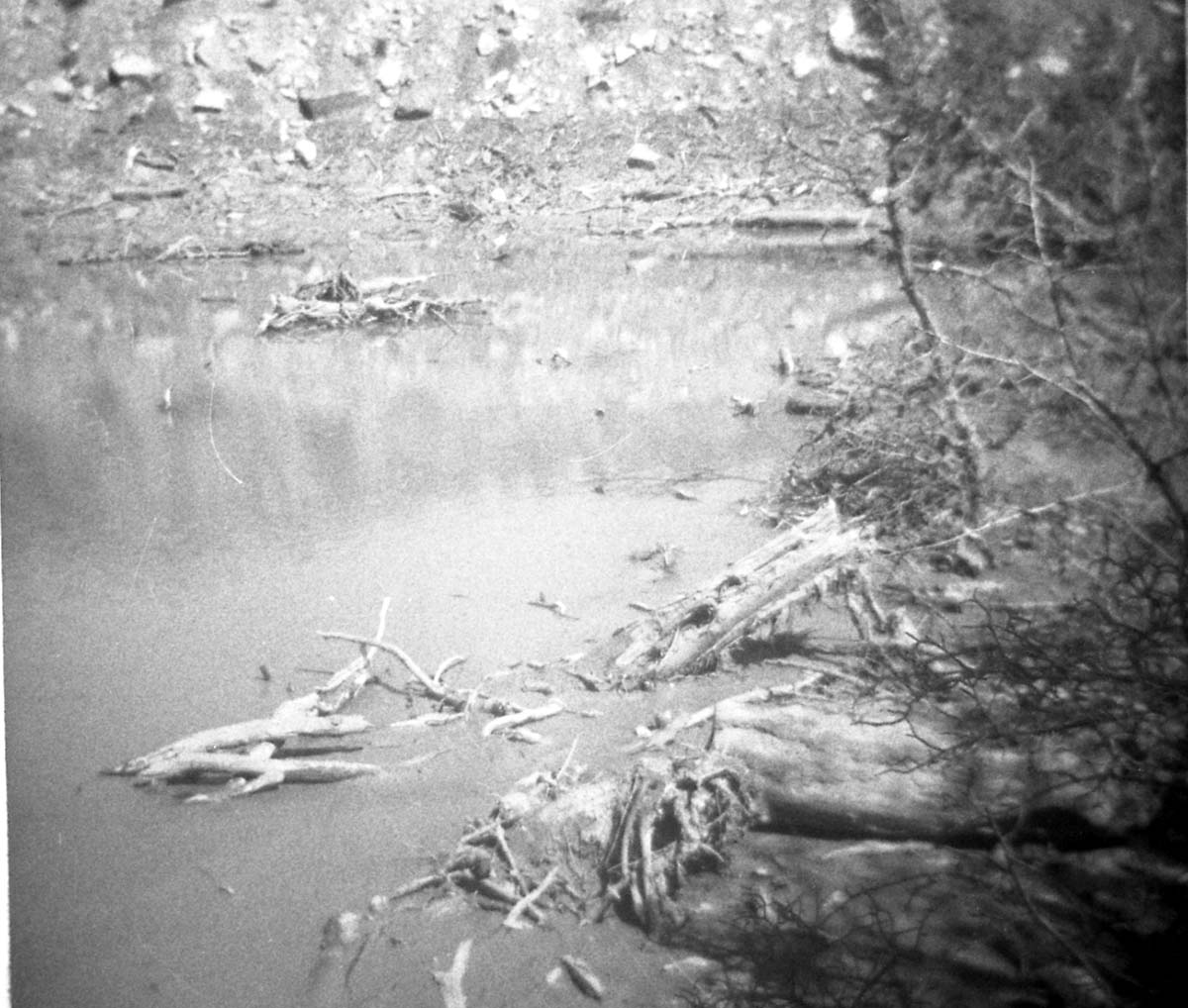 BW photos of rock slides in Kolob Canyons - 110mm.