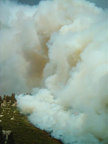 Hot Springs wildfire, Sequoia and Kings Canyon National Parks, summer 2004