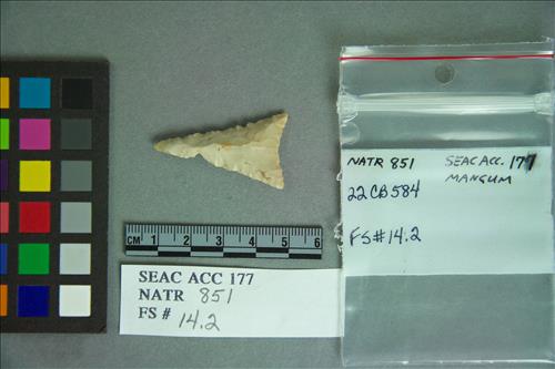 NATR  851 -- Late Woodland / Mississippi Triangular Cluster PP/K