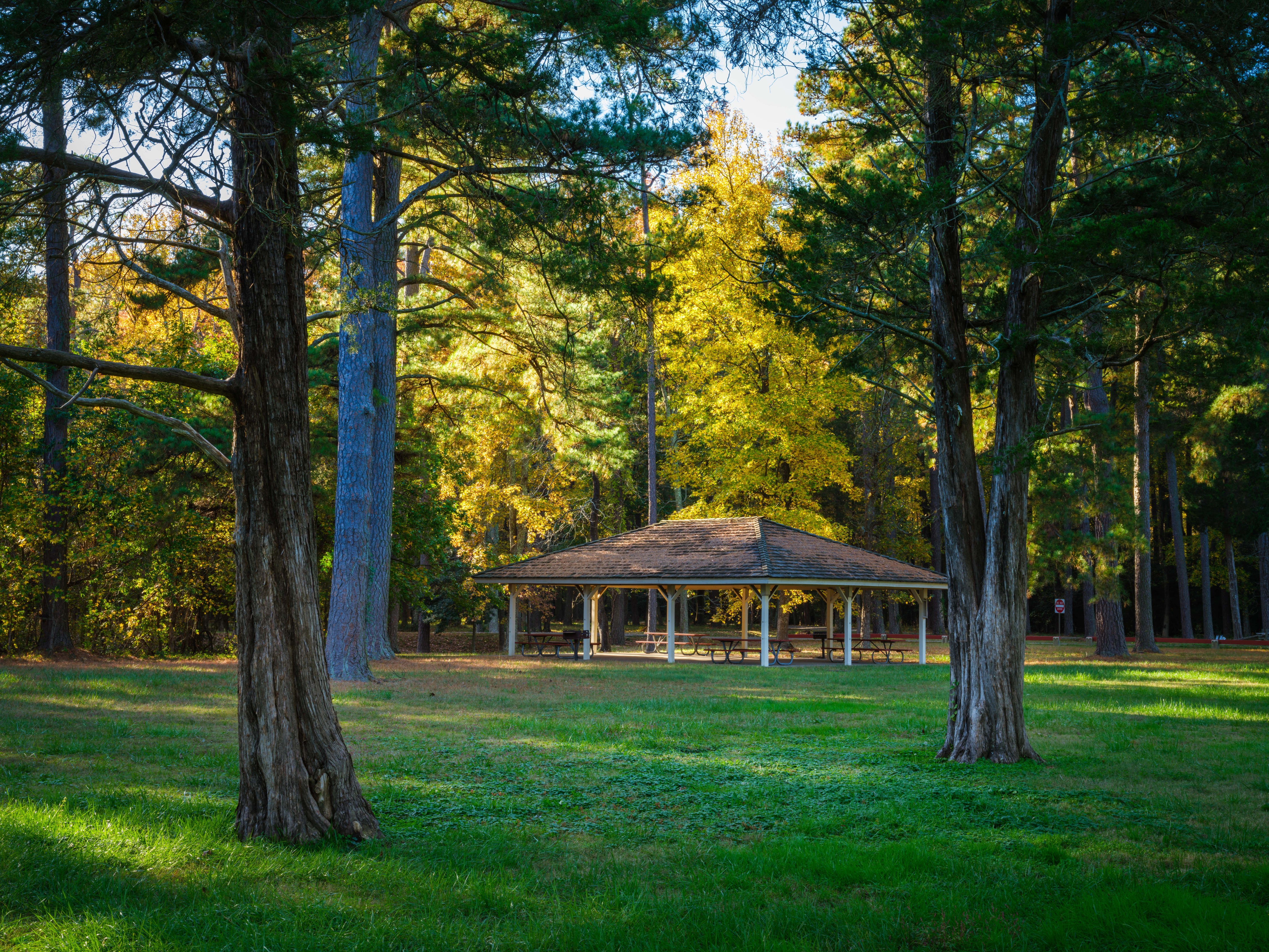 Distance view of picnic pavilion surrounded by trees and grass