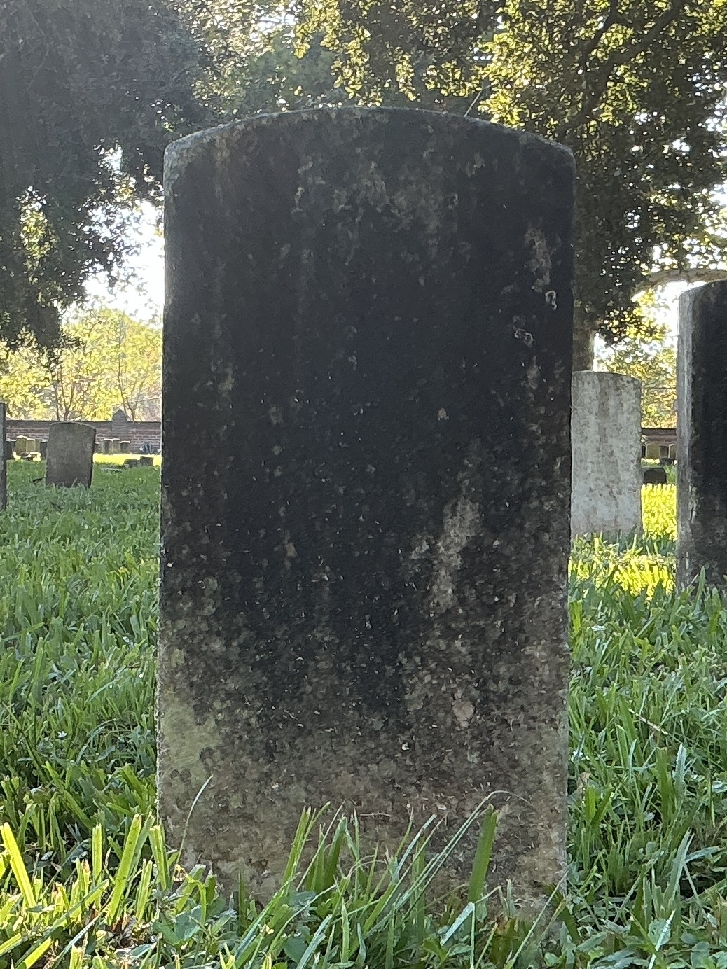 Back of historic upright marble headstone with recessed shield face.