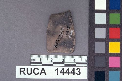 RUCA   14443 -- Point, Projectile