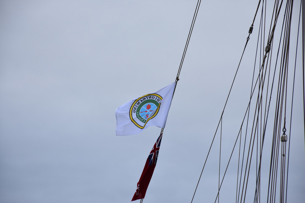 White flag with blue seal fluttering in the breeze.
