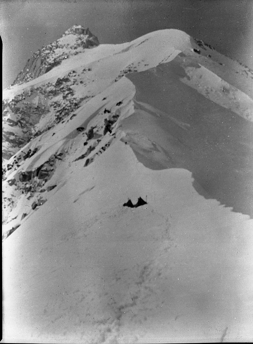 McKinley National Park