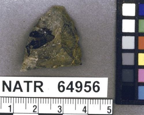 NATR   64956 -- Untyped projectile point