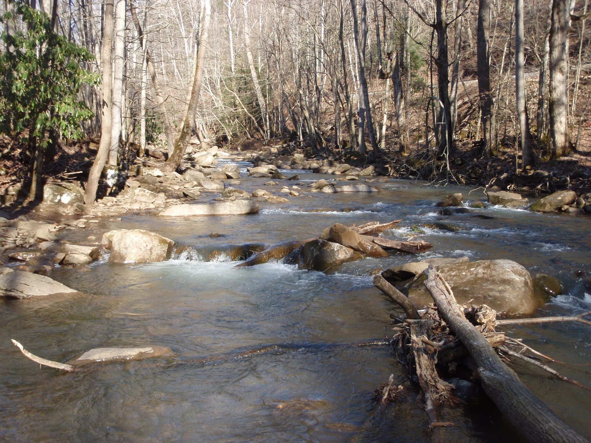 Site visit photo showing the upstream (UP) or downstream (DN) view of a wadeable stream reach taken during benthic macroinvertebrate monitoring at New River Gorge National Park and Preserve.