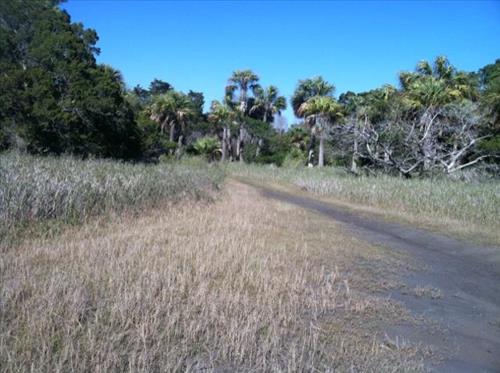 Marsh Social Trail 1