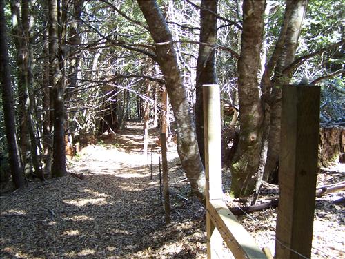 Coyote Peak Boundary Fence Before and After