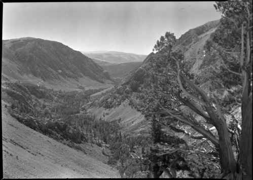 Lee Vining canyon from Tioga Road.