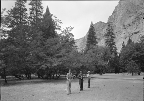 Site of Leidig's Hotel near foot of four mile trailhead showing locust trees.