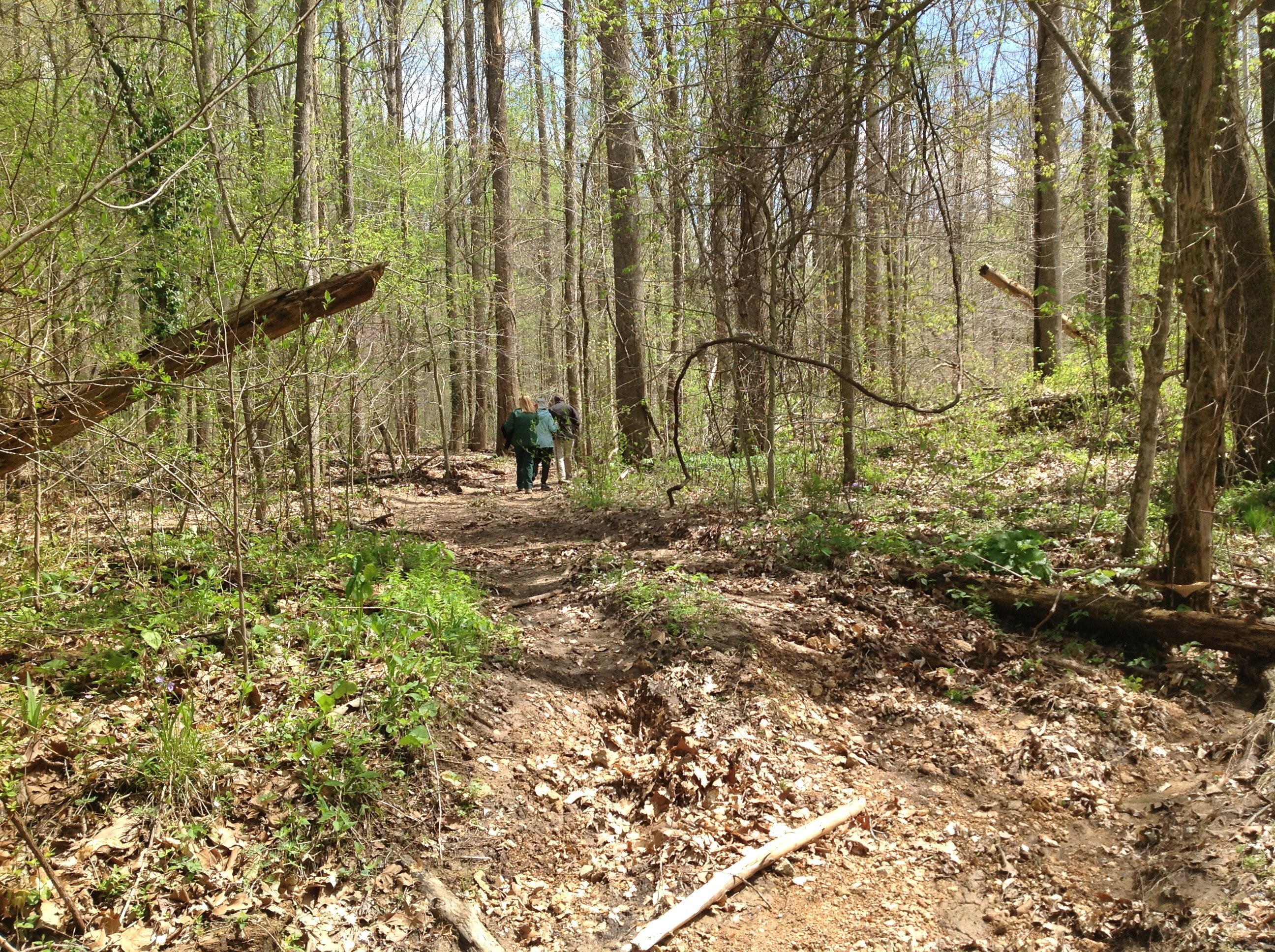 A person with a green backpack walking on a trail in a sunny, leafy forest.
