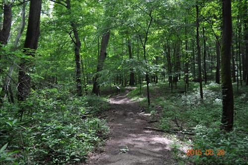 Echo River Springs Trail
