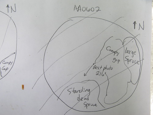 GRSM Accuracy Assessment. Plot Code: GRSM_AA_0602_7
