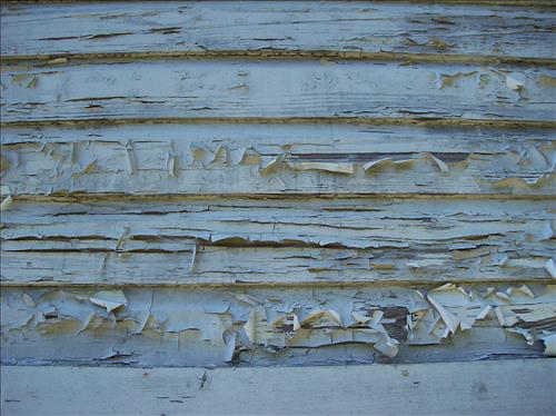 NACE-Existing Conditions at Raleigh Street House, May 26, 2008