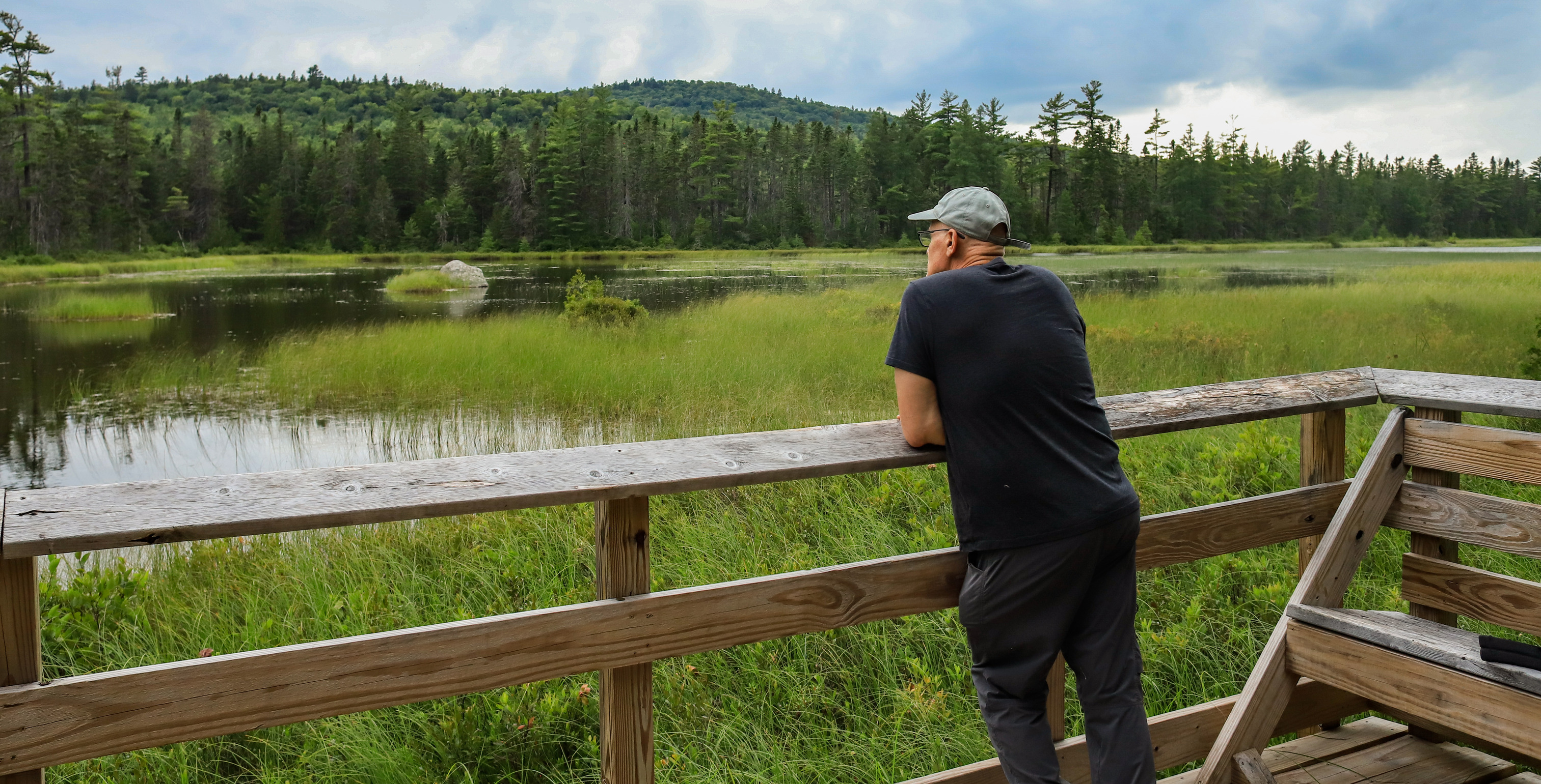 A man on a viewing platform looking out over a grassy pond with pine trees and rolling hills in the distance.