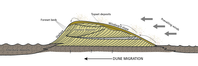 Schematic cross-section of a sand dune.