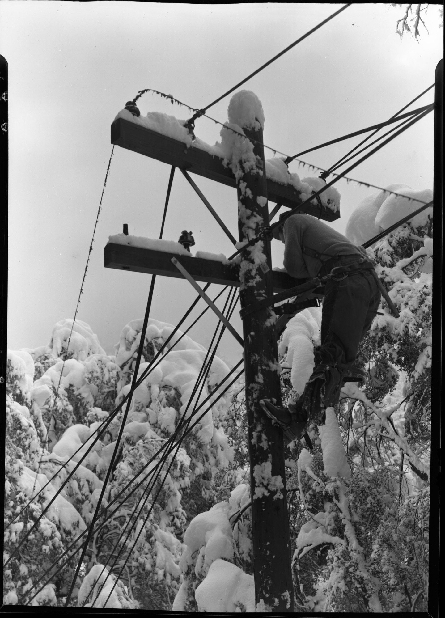 Telephone Lineman on Pole