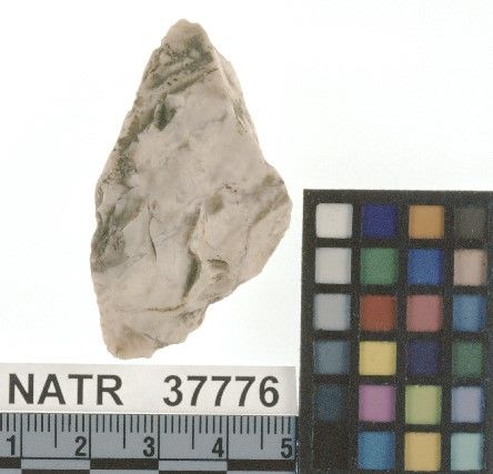 NATR   37776 -- Untyped projectile point