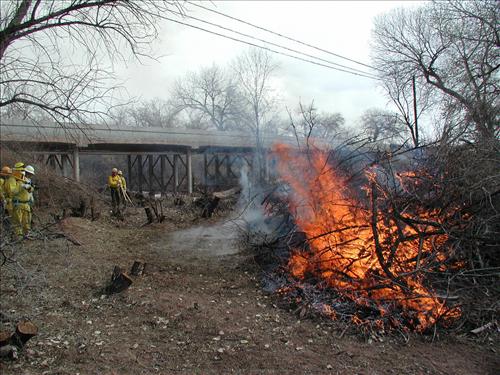 Hubbell Trading Post Exotic Species Pile Burning, February 2002