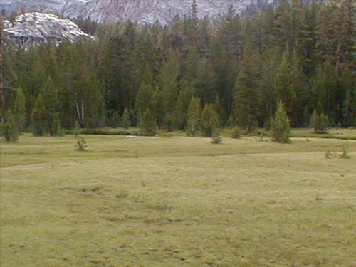 Gallats Lake Meadow in Aug. 2003, Sequoia and Kings Canyon National Park