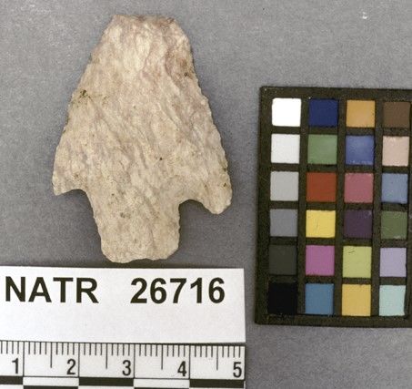 NATR   26716 -- Terminal Archaic Barbed Cluster projectile point