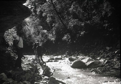 Zion Narrows upper end, Ranger Bruce Moorhead in foreground.