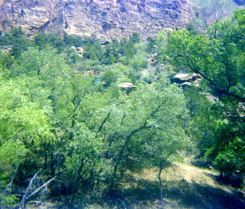 The Temple of Sinawava spring project - scaffolding construction and use.