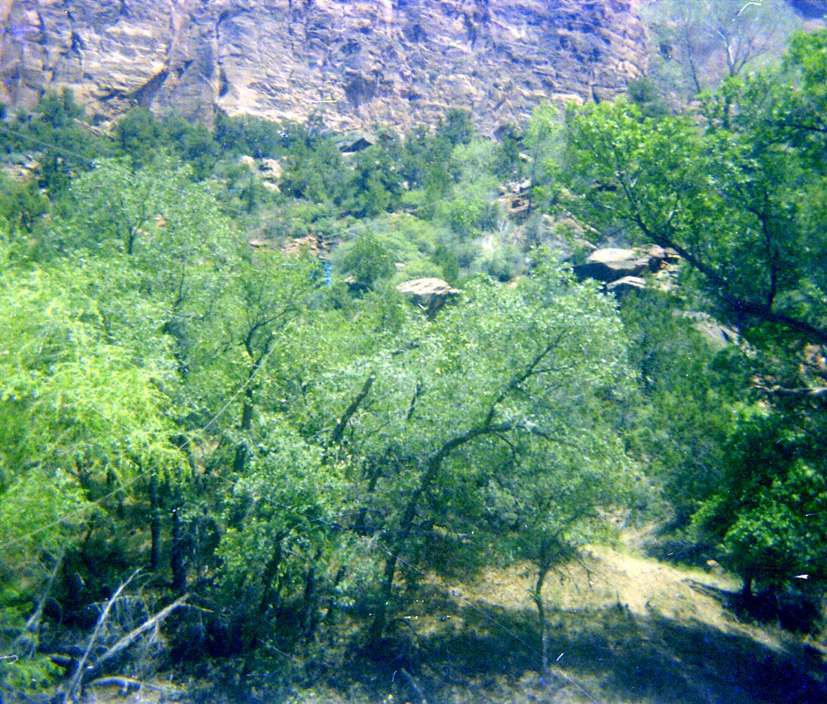 The Temple of Sinawava spring project - scaffolding construction and use.