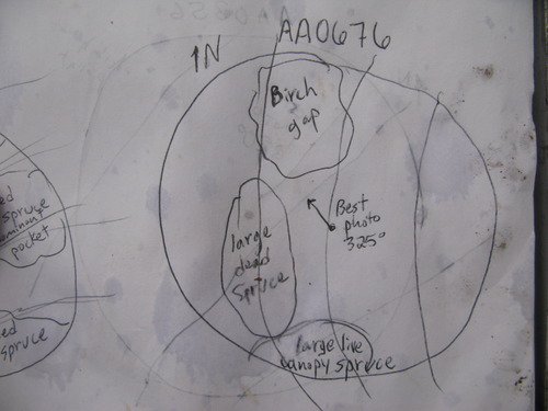 GRSM Accuracy Assessment. Plot Code: GRSM_AA_0676_7
