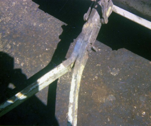 Color Photos of park trailers.