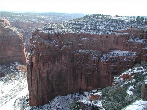 Exotic Species Removal Planning at Canyon de Chelly National Monument, Chinle, AZ - View at Spider Rock Overlook