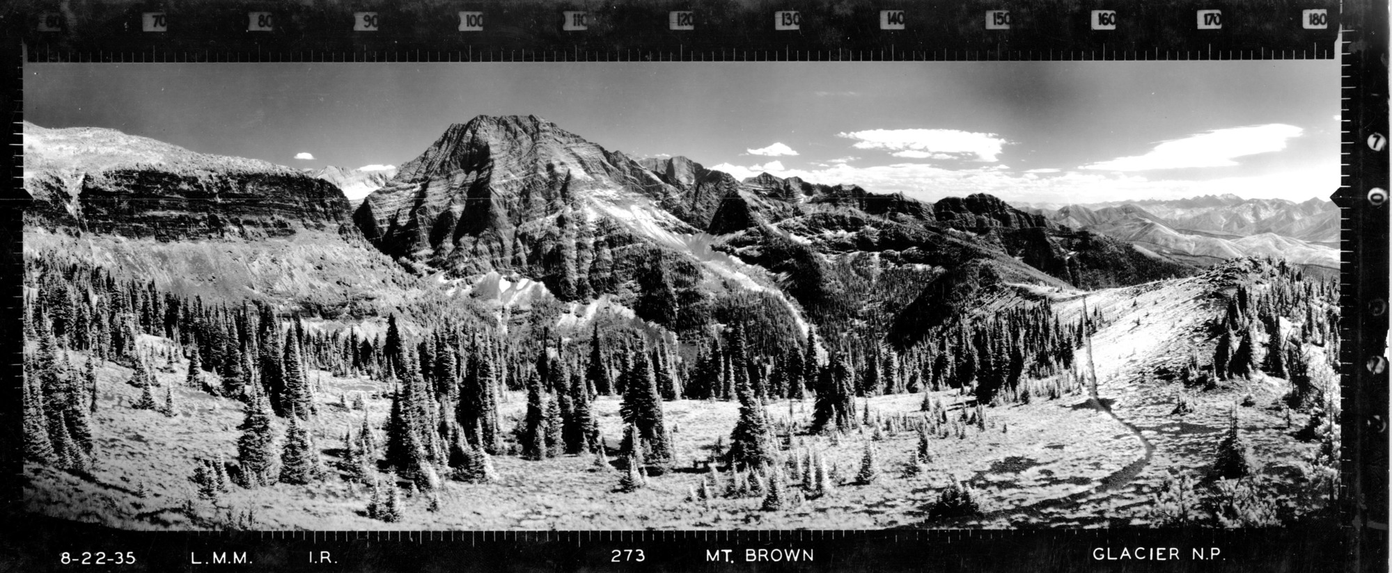 Infrared image of meadow with pine trees and trail near crest of ridge. Big craggy peaks with snow dominate the background.