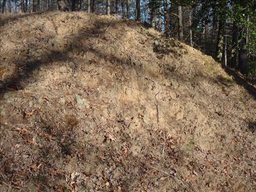 Earthwork fortifications at Richmond National Battlefield Park
