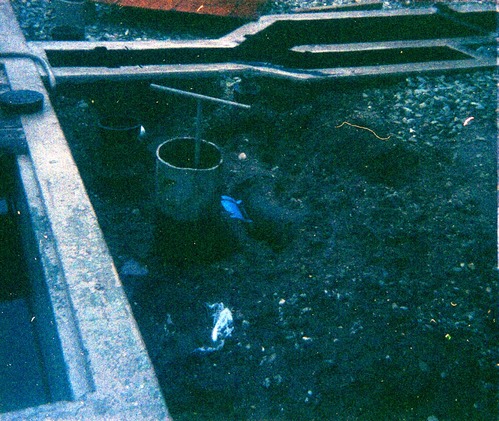 Sewer treatment plant.