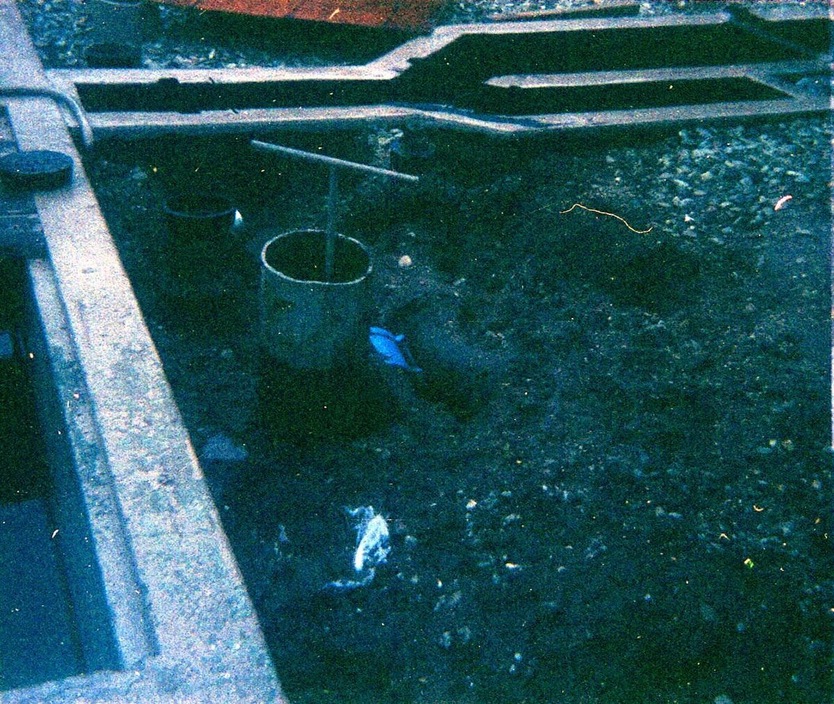 Sewer treatment plant.