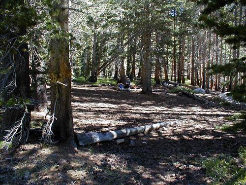 Proposed demonstration stock camp at Lower Rock Creek Xing, Sequoia and Kings Canyon National Park