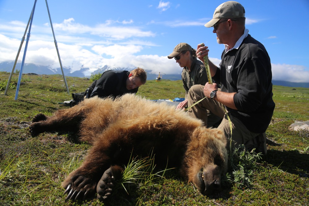 people kneeling next to bear