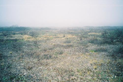4 Gates of the Arctic National Park and Preserve Itkillik Bird Survey June 2006