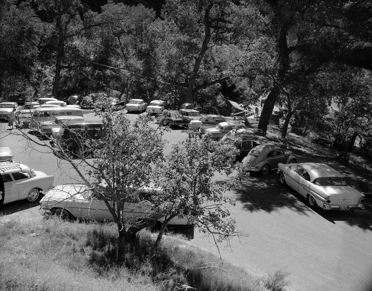 Visitor use - Weeping Rock parking area, parking area filled to capacity, 52 cars counted.