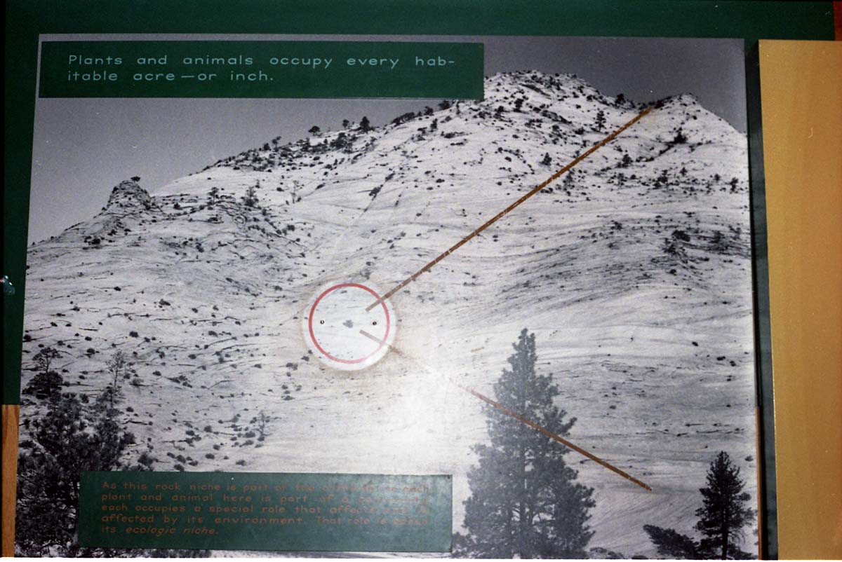 Color Photos of the old visitor center exhibits.