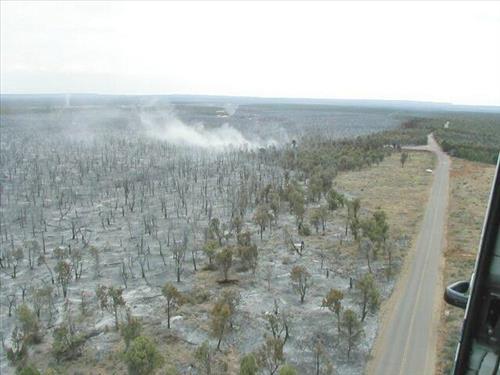 Aerial views of burned forest areas resulting from the  Long Mesa Fire, Mesa Verde National Park, August 2002