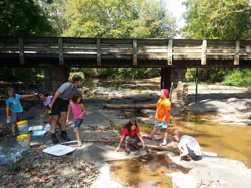 ranger and girls in stream under a bridge