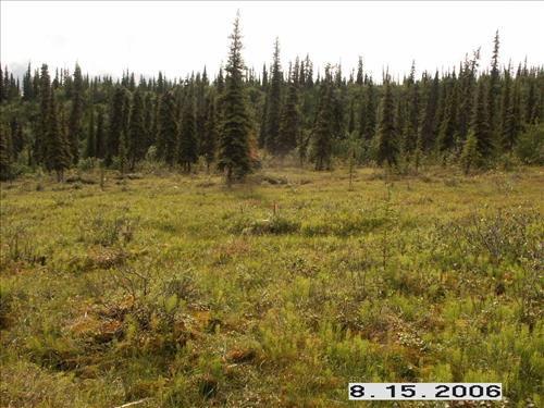 3 Small Mammal Survey in Denali National Park and Preserve in August 2006