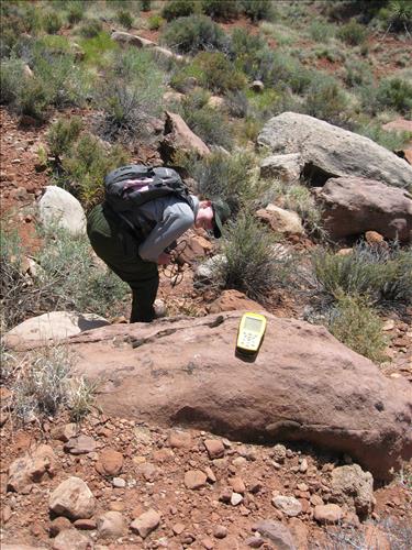 2008 Figure 6. Desert tortoise monitoring (3 photos)
