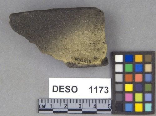 DESO    1173 -- Vessel Fragment