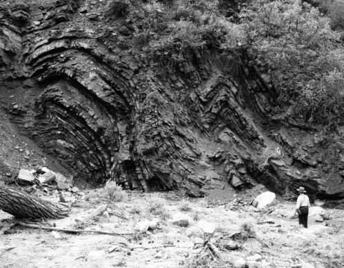 Geologic fold up Taylor Creek near trail to Lee's Pass. Larry Quist at left.