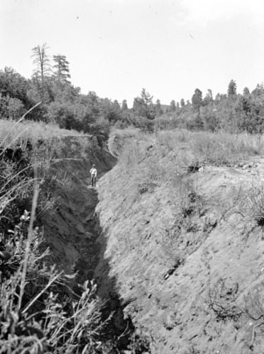 Stream erosion in Potato Hollow. Shows dramatic image of a man standing in an erosional gully.
