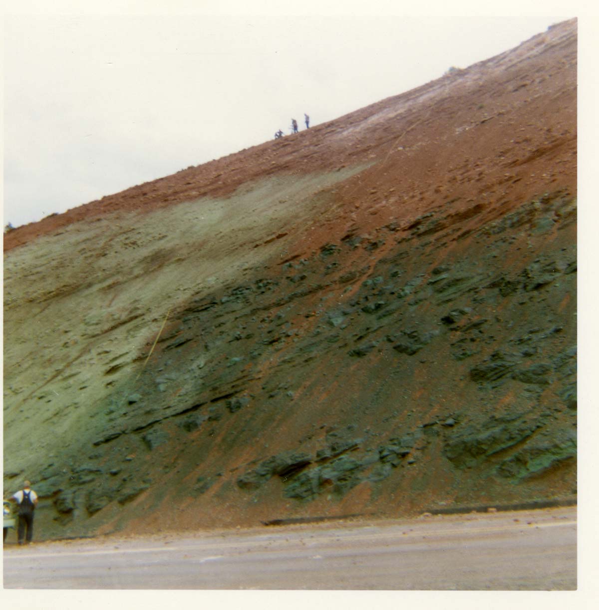 Color photo of the hydroseeding experiment along the Kolob Canyon Road.