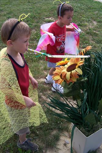 Junior Ranger, Butterfly's Breakfast, Activities
